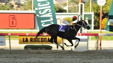 Raffsttar dibuja el camino en el Cría Nacional para su Triple Corona