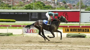 Son 12 las carreras del domingo en La Rinconada