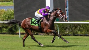 Jaramillo sacó la clase en el antiguo Calder