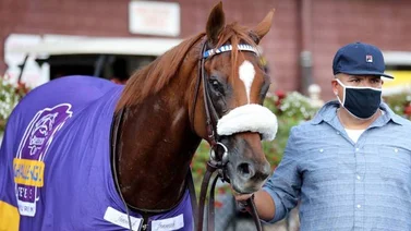 Swiss Skydiver por la Breeders' Cup  Distaff Grado I