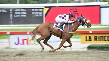 Estos son los ganadores del 5 Y 6 en el Hipódromo La Rinconada 18/10/2020