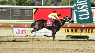 Dos Clásicos y 10 carreras este domingo en La Rinconada