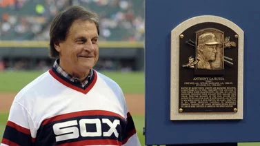 La Russa se mantendrá como piloto de Medias Blancas pese a ebriedad