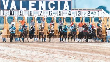 Resultados Hinava 21/11/2020