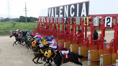 Resultados 5y6 Hinava 21/11/2020