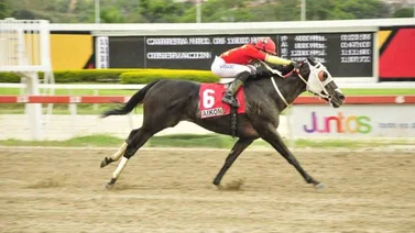 La Rinconada tendrá 10 carreras y dos clásicos este domingo