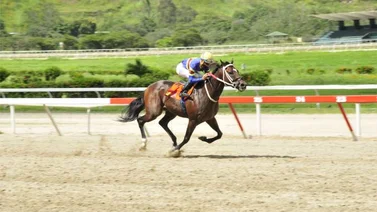 Gran Giocatore Vs Castanyer choque de velocistas