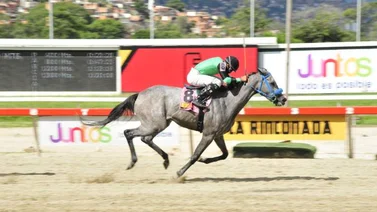 La Rinconada y Valencia con fecha para inscripciones