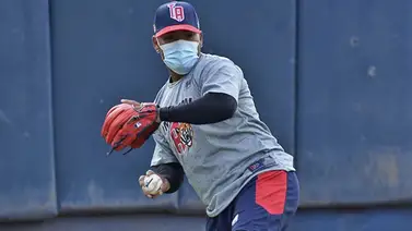 Felinos y aborígenes cara a cara en la Ciudad Jardín Felinos y aborígenes cara a cara en la Ciudad Jardín