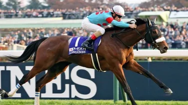 La campeona Almond Eye irá por la Japan Cup G1