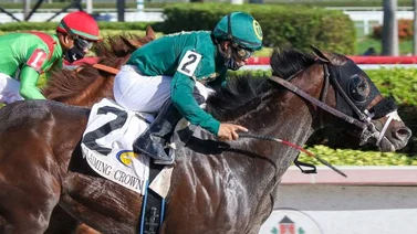 Jesus'Team está entre los invitados para disputar la Pegasus World Cup