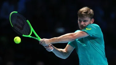 Goffin sin problemas en segunda ronda