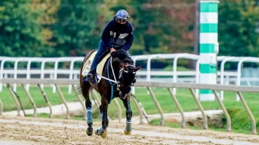 Irad Ortiz Jr. conducirá "La Nave" del Grupo 7c en la PWC