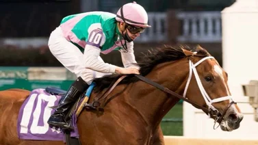 Mandaloun subirá al lote selectivo en el Lecomte Stakes G3