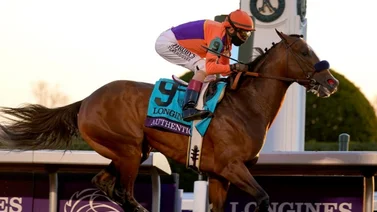 Authentic es el favorito para ganar el caballo del año