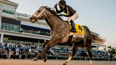 Knicks Go ganó con autoridad la Pegasus World Cup