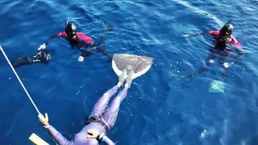 Récord nacional y segunda posición en Apnea para Iru Balic en Croacia Récord nacional y segunda posición en Apnea para Iru Balic en Croacia