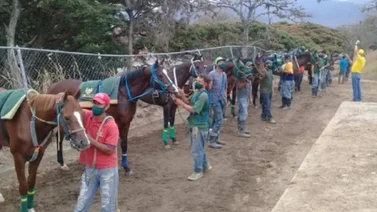Sigue el trabajo duro para los Comisarios del hipódromo La Rinconada