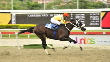 El Campeón del Quarterback vuelve a la arena de La Rinconada