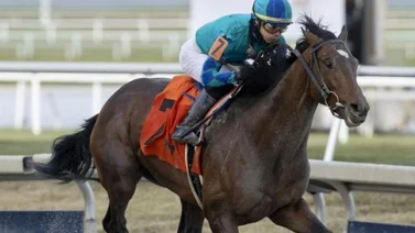 Greatest Honour lidera los puntos para el derby
