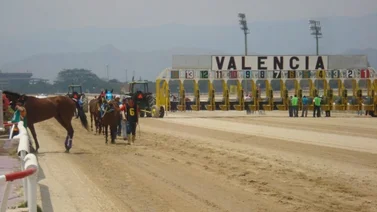 Cuadro único en Valencia premiado con bono sorpresa