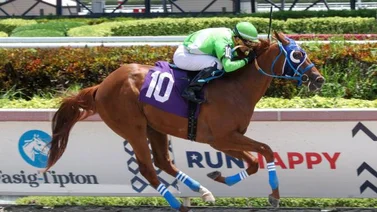 Papetu con Jaramillo ante todo pronóstico por el Florida Derby