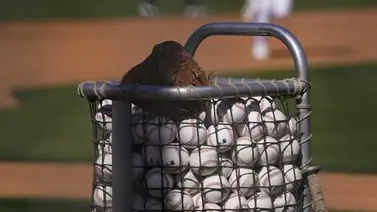 MLB redobla medidas para detectar manipulación de pelotas