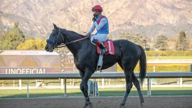 Medina Spirit con el Santa Anita Derby en el bolsillo