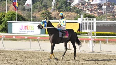 Son 12 duelos de alto calibre para este domingo en La Rinconada
