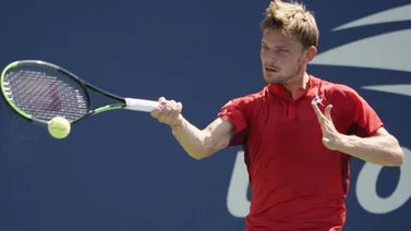 Goffin y Jordan Thompson, en segunda ronda