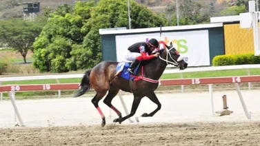 Rubacuori fue la superior con "Panchito" Urdaneta