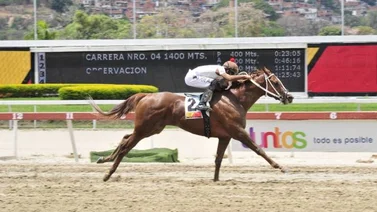 Persecuted apunta al Páez