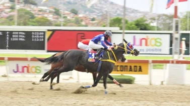 Round Business liquidó a King Roy en la sexta competencia