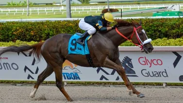 "La Ley" presente en Gulfstream Park