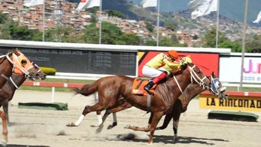 Srta. Chenoma a mantener su hegemonía