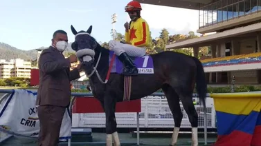 Raffsttar fue la vía para los dos años de Nelson Castillo