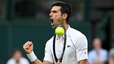 Djokovic doma a Shapovalov hacia su séptima final