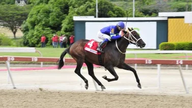 Vuelve a la guerra el Triple Coronado Tuki Monton