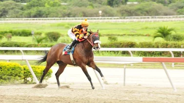 Strength Mask va con todo