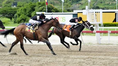 Resultados La Rinconada 01/08/2021