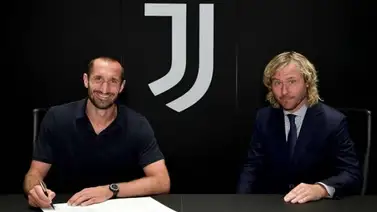 Chiellini renueva por dos temporadas con Juventus Chiellini renueva por dos temporadas con Juventus