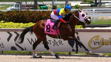 Victor Barboza Jr. echa candela en Gulfstream Park
