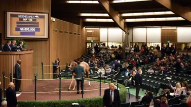 Keeneland con 4.034 yearlings para su próxima subasta