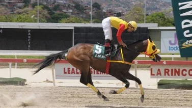 Póker de destacados en el óvalo caraqueño