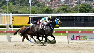 Papá Pedro mantiene la ruta ganadora en La Rinconada
