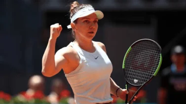 La tenista rumana Simona Halep dará el nombre a una nueva especie de insecto