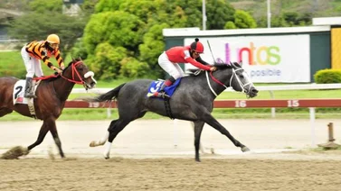 Dorian Gray va por su segundo triunfo ante un discreto lote