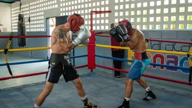 Gala Boxística de Maracaibo presentará  12 combates de talla internacional Gala Boxística de Maracaibo presentará  12 combates de talla internacional