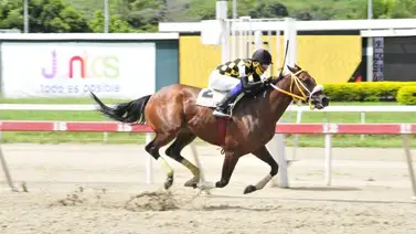 Conoce al primer producto de esta campeona sprinters de La Rinconada Conoce al primer producto de esta campeona sprinters de La Rinconada