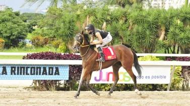 Sangre campeona en la nueva generación de Los Samanes